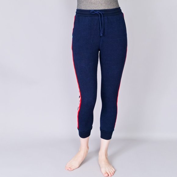 SUNDRY Track Stripes Heather Blue Jogger Pants - Picture 6 of 6